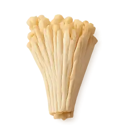 Enoki Mushroom