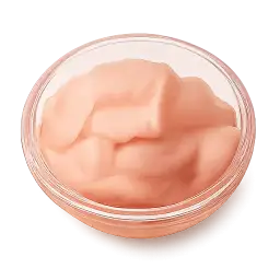 Fermented Radish