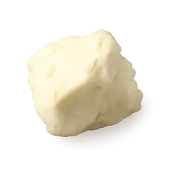 Fetum