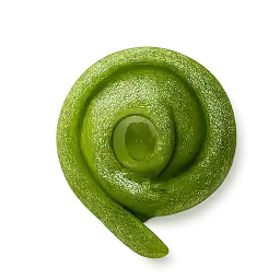 Fiddlehead Fern