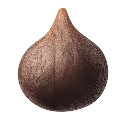 Fig