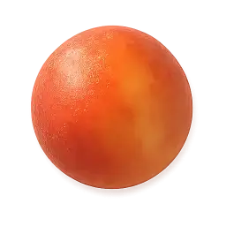 Fruit