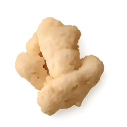 Ginger