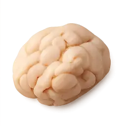 Goat Brain