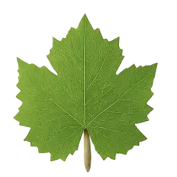 Grape Leaf