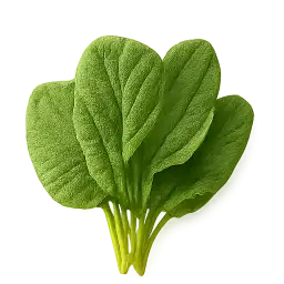 Green Leafy Vegetable