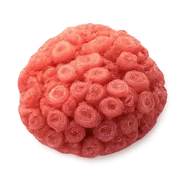 Ground Meat