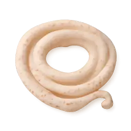 hog casing