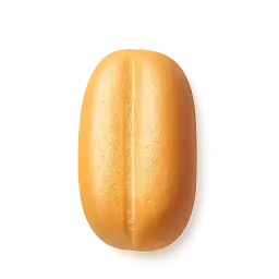 Hot Dog Bun