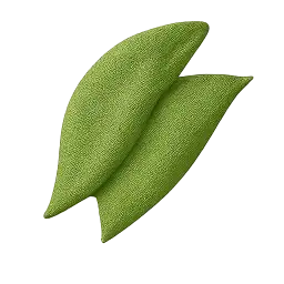 Hyacinth Bean