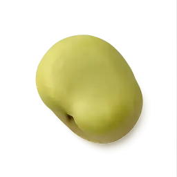 Indian Broad Bean