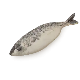 Indian Mackerel