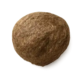 Indian Truffle