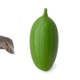 Ivy Gourd
