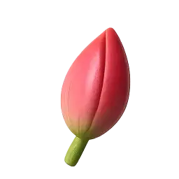 Kachnar Bud