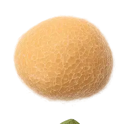 Kadayif