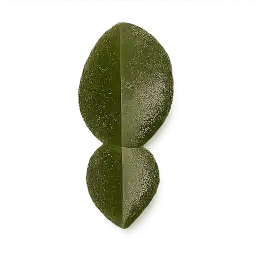 Kaffir Lime Leaf