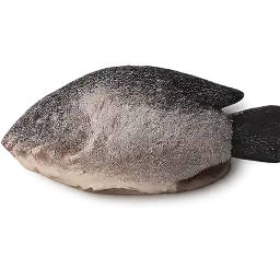 Karimeen