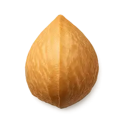Keluwak Nut