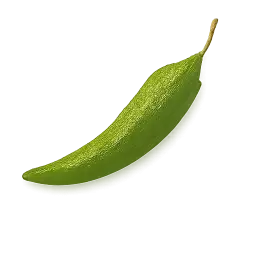 Khorisa