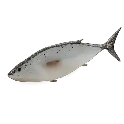Kingfish
