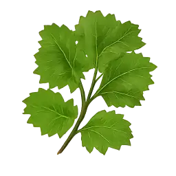 Koinar Leaf