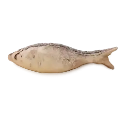 Lady Fish