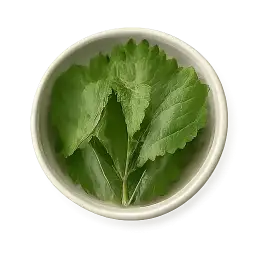 Leafy Green