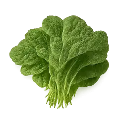 Leafy Vegetable