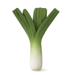 Leek