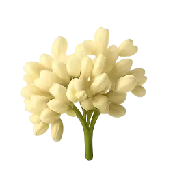 Mahua Flower
