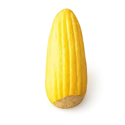Maize