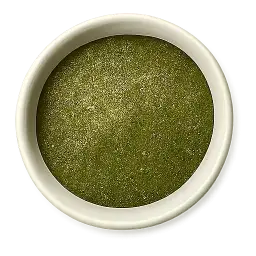 mint chutney