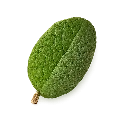 Mint Leaf