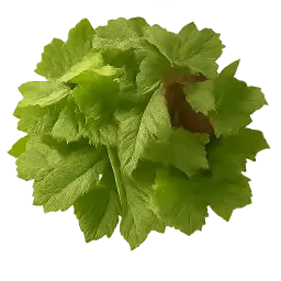 Mixed Green