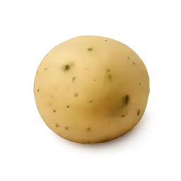 Moong Dal Dumpling