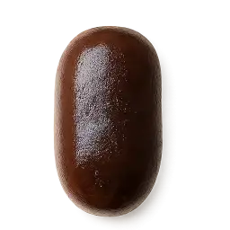 Morcilla