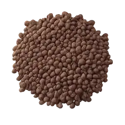 Mustard Seed