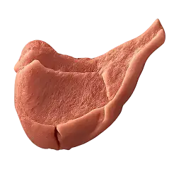 Mutton Rib