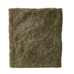 Nori