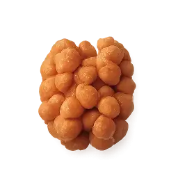 Nut
