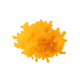 orange zest