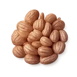 Pinto Bean