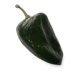 Poblano Pepper