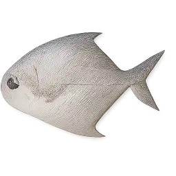 Pomfret