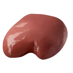 pork liver