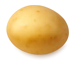 Potato