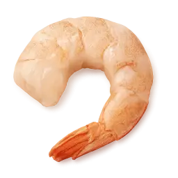 Prawn
