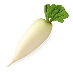 rabodi