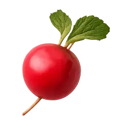 Radish